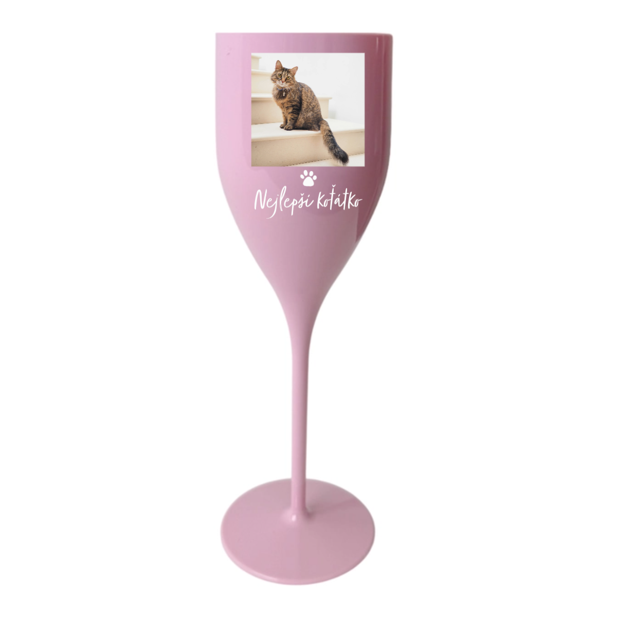 Personalizovaná nerozbitná prosecco sklenice - fotografie s mazlíčkem (obrázek 4)