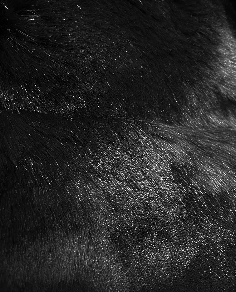 Kurtka ze skóry ekologicznej z futrzanym panelem J Style czarna (11Z8090) odstíny černé L (40)