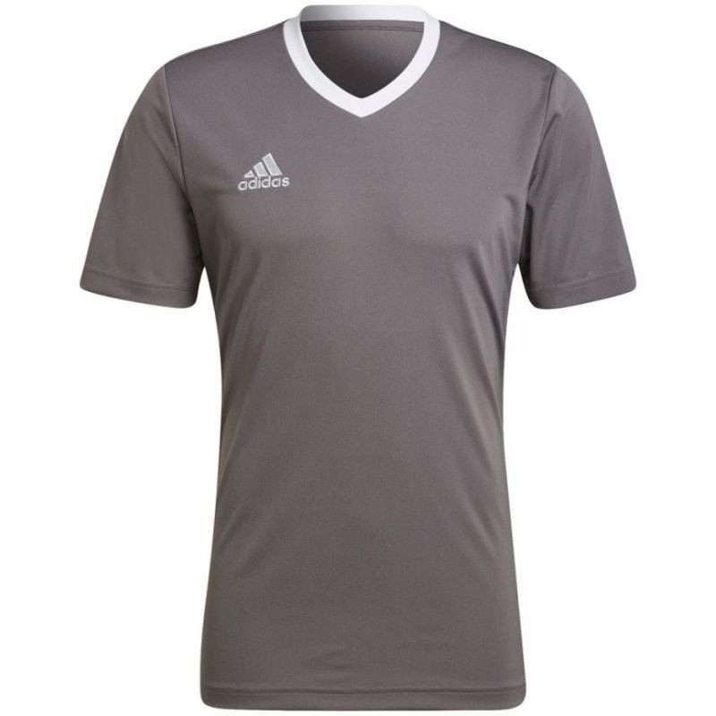 Pánské tričko Adidas T-shirt Entrada 22 Jersey M HE1574 pánské XL