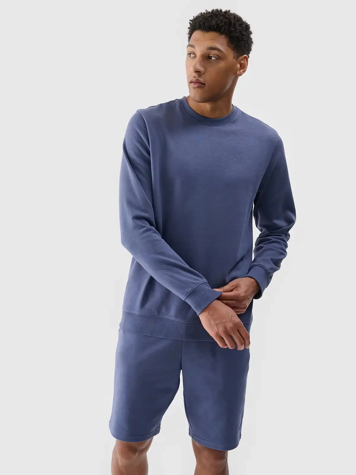 Pánske šortky 4F L Pánske šortky 4F L