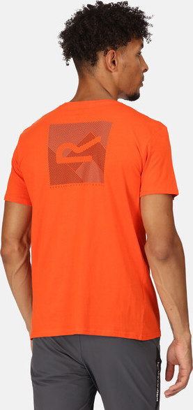 Pánské tričko Regatta RMT273-33L oranžové Oranžová L