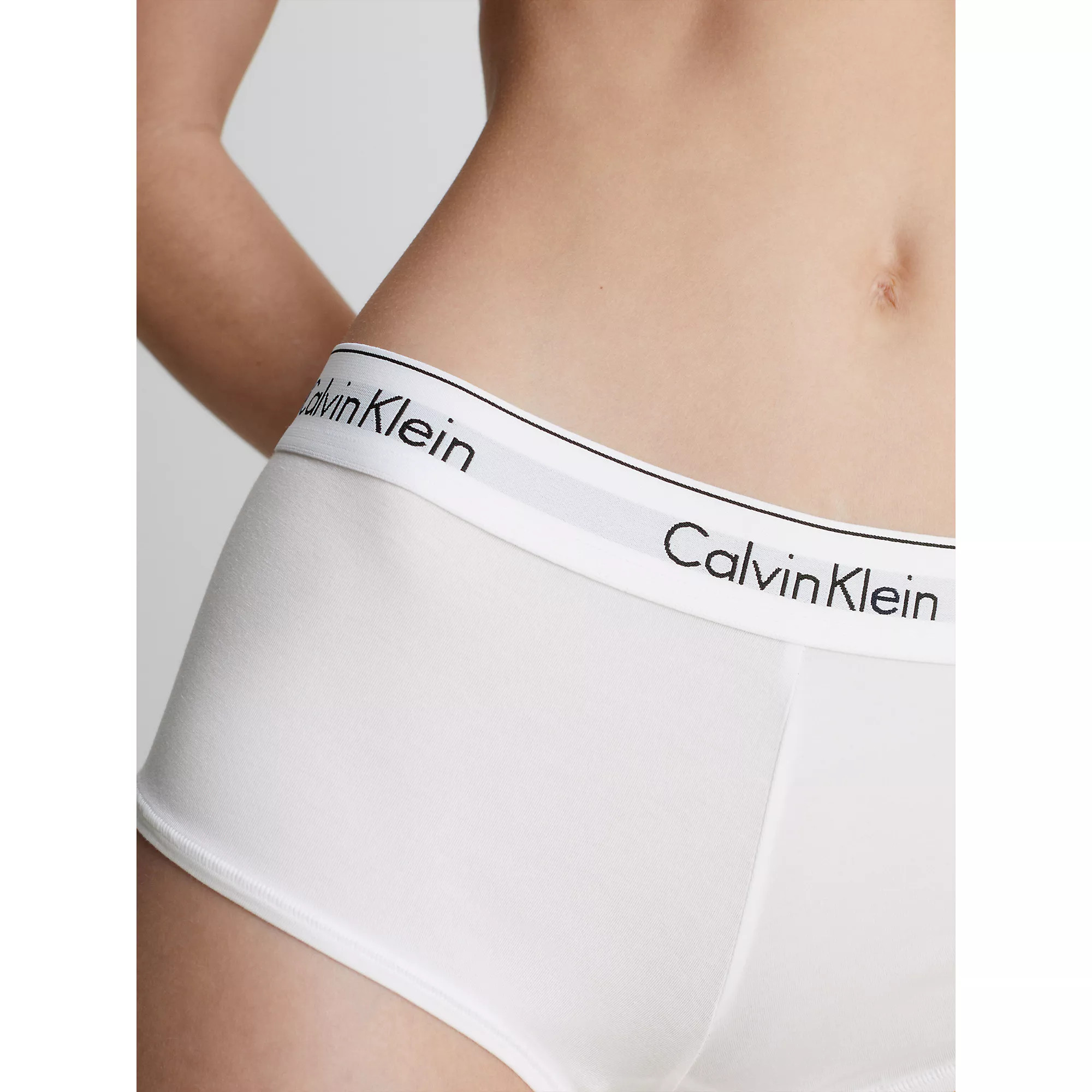 Spodní prádlo Dámské kalhotky BOYSHORT 0000F3788E100 - Calvin Klein L
