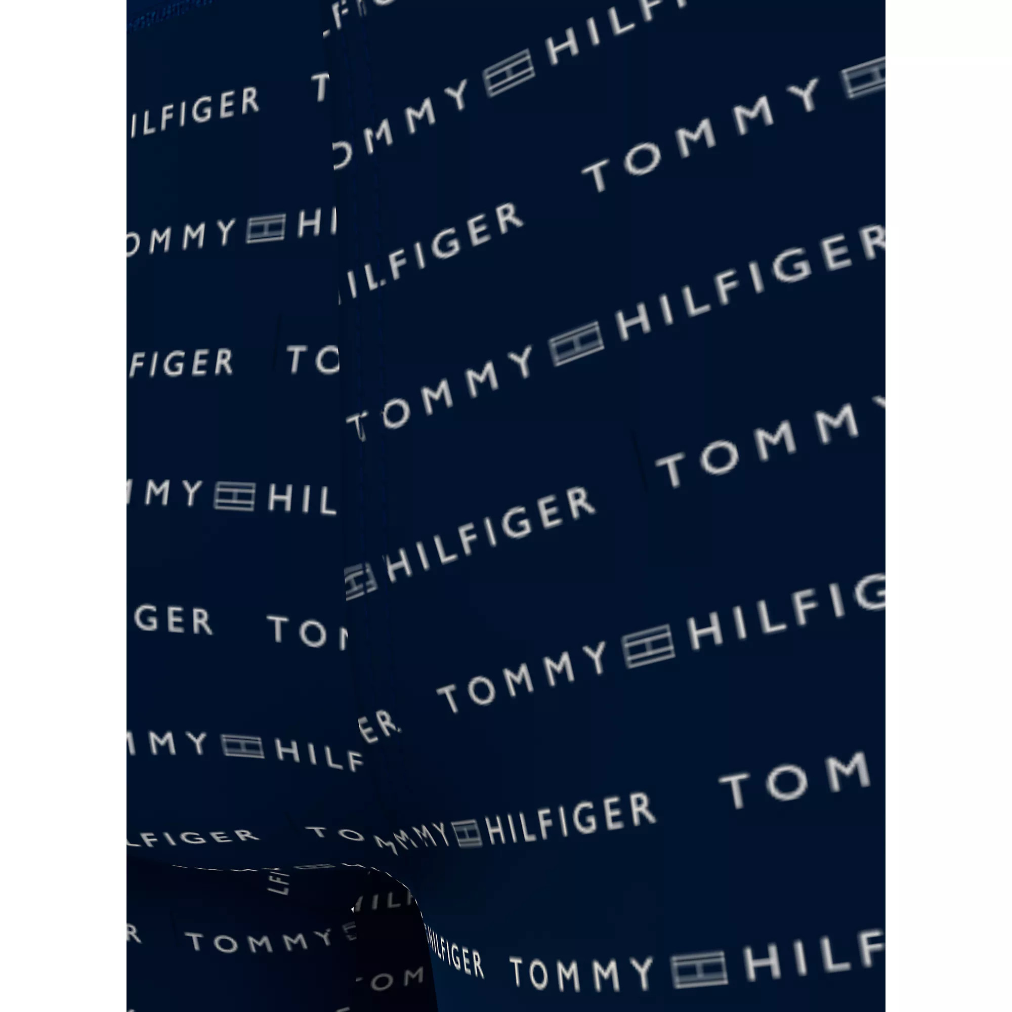Pánska spodná bielizeň TRUNK PRINT UM0UM0283500O - Tommy Hilfiger XL