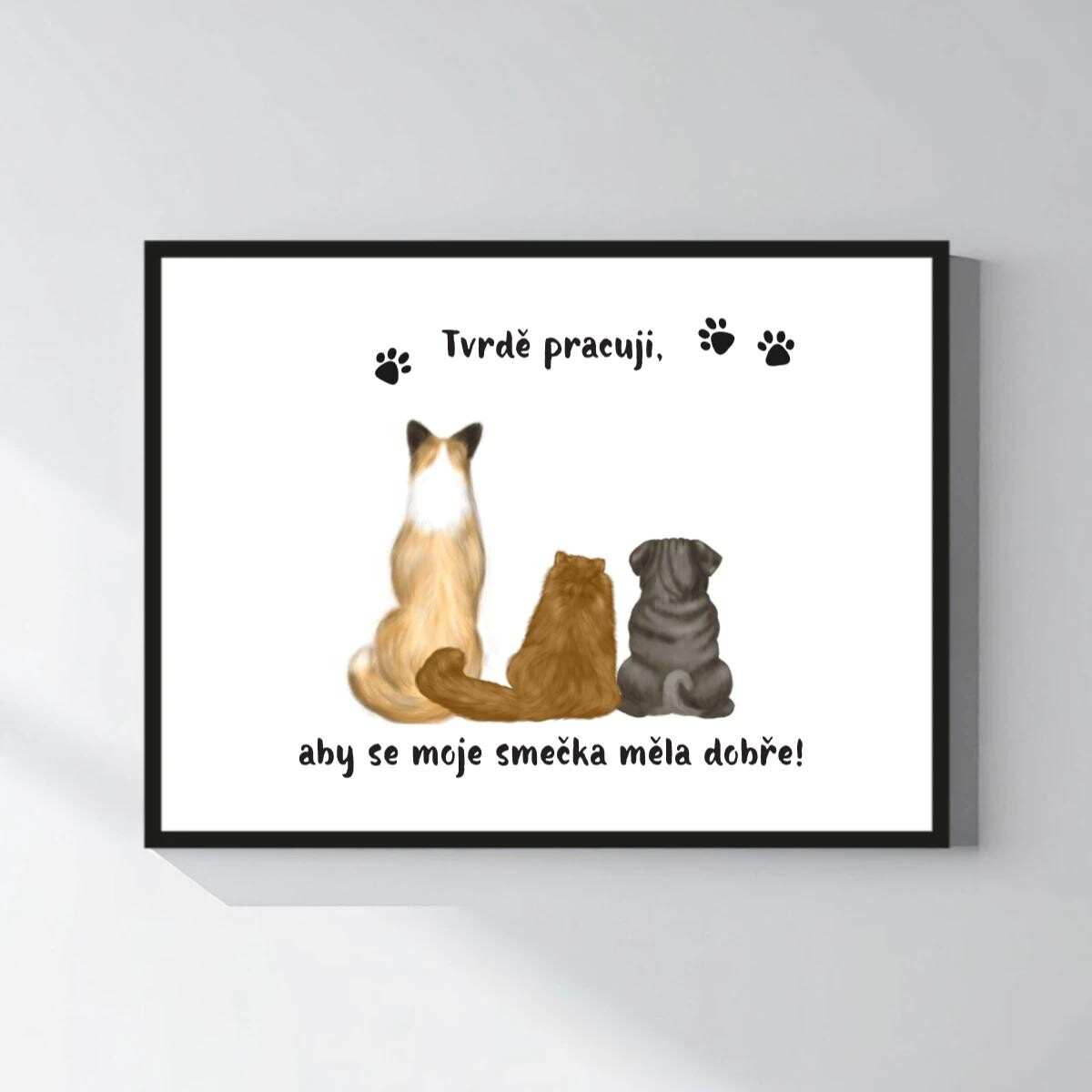 Personalizovaný magický fotobilder v ráme – 30x40 – ilustrácie domácich miláčikov