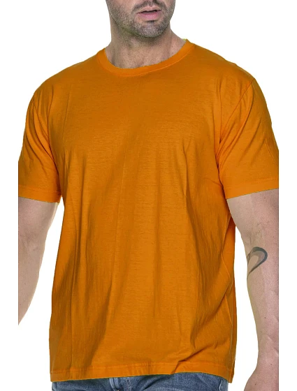 Pánské těžké tričko model 22069060 - PROMOSTARS