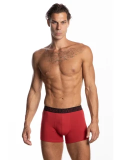 SZORTY MĘSKIE model 20720887 2pack - Lama