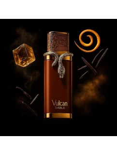 French  pánský parfém 100 ml model 21756016 - French Avenue