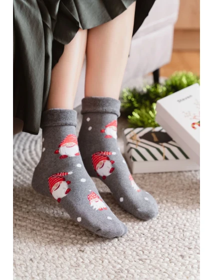 Obrázkové ponožky model 20816305 037 - Steven