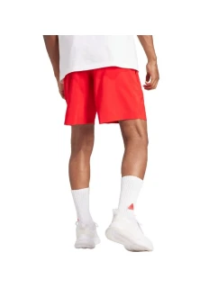 Šortky Aeroready Essentials Chelsea Small Logo M model 20190331 - ADIDAS