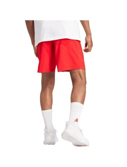 Šortky Aeroready Essentials Chelsea Small Logo M model 20190331 - ADIDAS