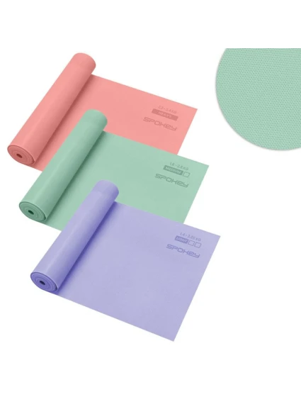 SET 3 fitness model 21352219 - Spokey