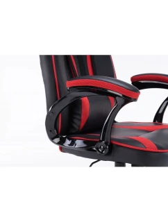 HERNÍ model 21331058