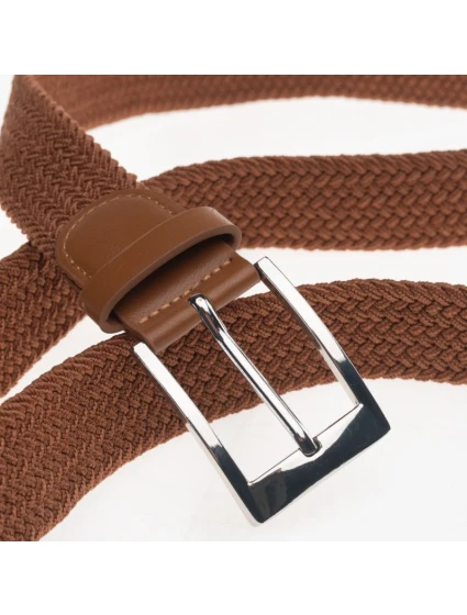 model 21353205 - Iguana