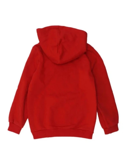 Bluza  Hoodie Jr 11 model 21095006 - Puma