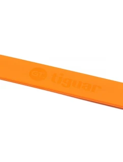 model 21380935 GT od V2 - Tiguar