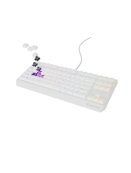 model 21491424 230 TKL USB + RF QWERTY klávesnice - Genesis