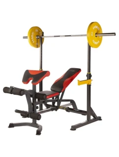 Multifunkční na činky model 21332563 - HMS