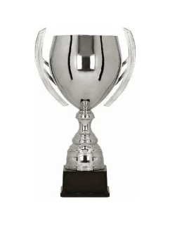 Stříbrný kovový pohár model 21827286