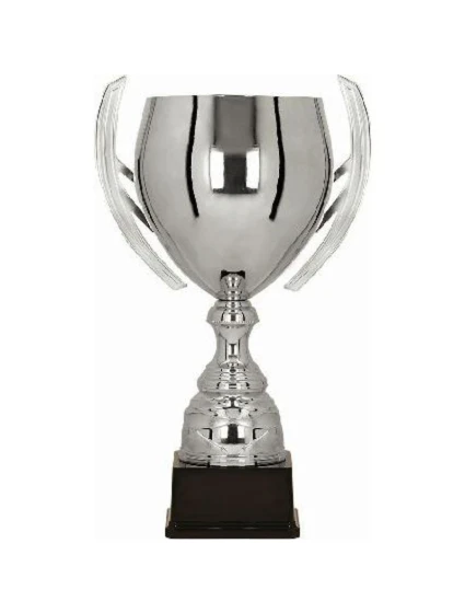 Stříbrný kovový pohár model 21827286