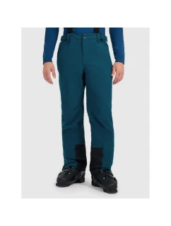 Pánské lyžařské kalhoty 5000 model 21917369 - 4F