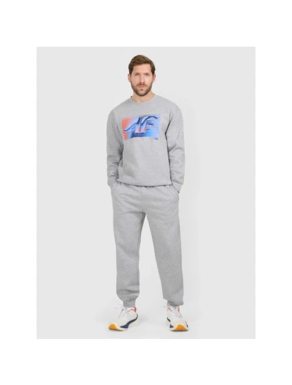 Pánské tepláky typu jogger model 21877671 - 4F