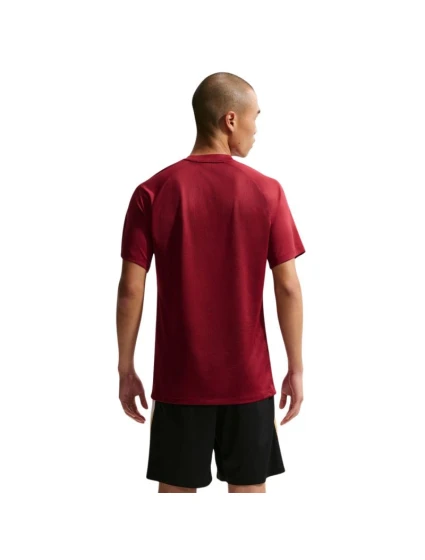 Nike Dri-Fit Park VIII pánské tričko bordó HV8173 677 pánské