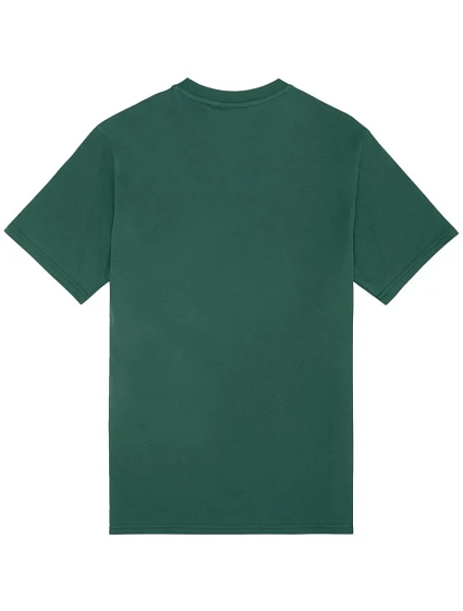 Pánské tričko  Regular Tee green  pánské model 22061974 - Fila