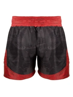 Tréninkové šortky model 21348304 light - Masters