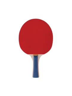 Raketa na stolní tenis Training Pro FL model 21363427 - Spokey