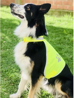 Korntex KTH100 – Buenos Aires Bezpečnostní vesta pro psy 76.KTH1 hi vis yellow