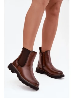 Dámské zimní kotníkové boty na zip hnědé model 21747756 - Boto