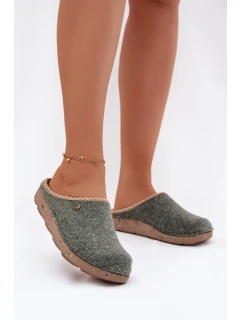 Domácí obuv Dámské pantofle model 21786990 Zelené - Inblu