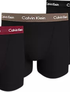 Pánské spodní prádlo TRUNK 3PK 0000U2662GNOP - Calvin Klein