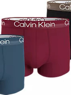 Pánské spodní prádlo TRUNK 3PK 000NB2970AMCI - Calvin Klein