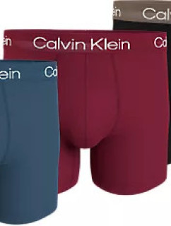 Pánské spodní prádlo BOXER BRIEF 3PK 000NB2971AMCI - Calvin Klein