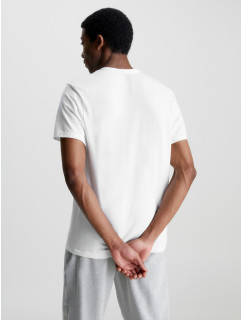 Spodní prádlo Pánská trička S/S CREW NECK 000NM2170E100 - Calvin Klein