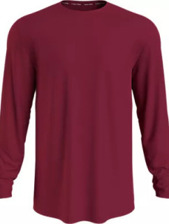 Spodní prádlo Pánská trička L/S CREW NECK 000NM2424EF63 - Calvin Klein