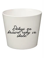 DĚKUJI ZA KRÁSNÉ ROKY VE ŠKOLE! - malý květináč