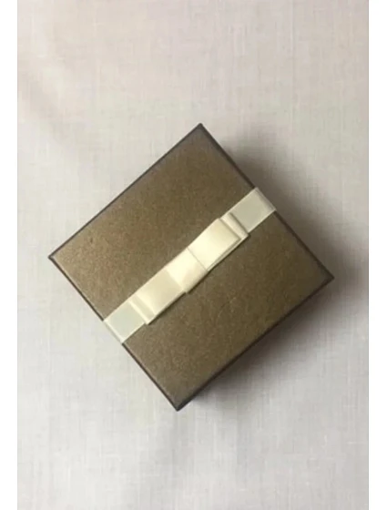 Pánské kapesníky  komplet 2 kusy model 22030015 - Gemini