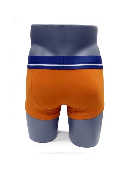 Pánské trenýrky   oranžová  model 17296080 - Emporio Armani