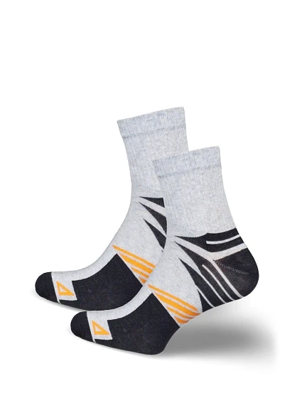 Pánské ponožky ACTIVE 0224.051