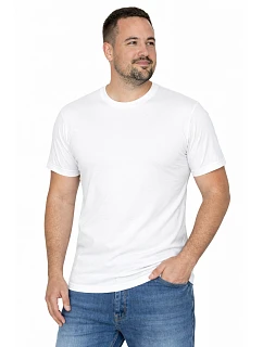 Pánské tričko Heavy 21172-20-3XL