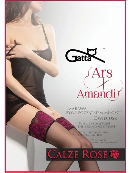 Samodržící dámské punčochy model 16159750 ROSE 20 DEN - Gatta