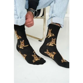 Pánské ponožky model 21797594 - Milena