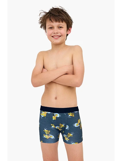 BOXERKY BOY YOUNG 700 W/26