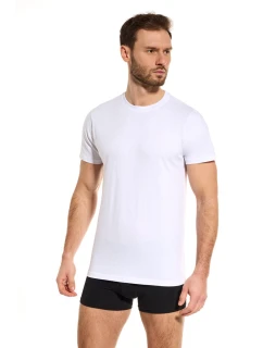 PÁNSKÉ TRIČKO TT002