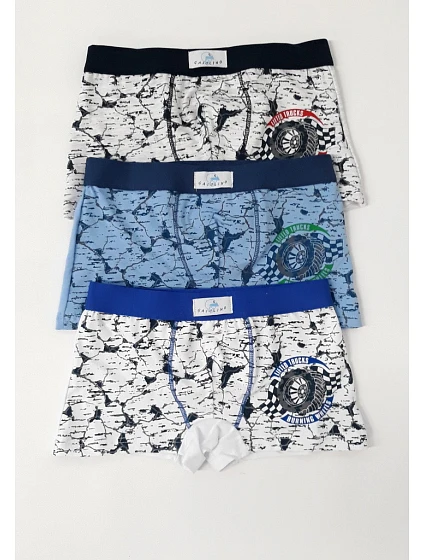 Dětské boxerky model 22065935 - Gasolineblu Dětské boxerky model 22065935 - Gasolineblu