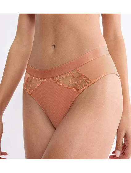 Wild Azalea Florale Tai Apricot  Apricot  model 22026891 - Triumph