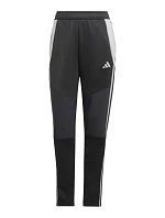 Kalhoty adidas Tiro 24 Winter W IX7887 dámské