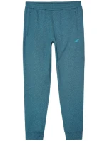 Kalhoty 4F M 4FWAW24TFTRM682 46M